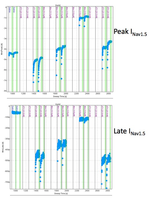 Mexiletene-and-peak-late-inav1-5