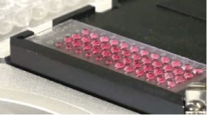 VERSA 110 PCR Setup Workstation with module for Advalytix Amplislide 