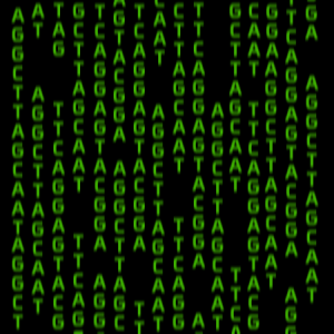 Matrix-DNA