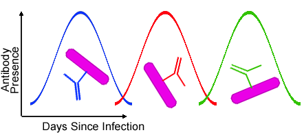 Antigenic-variation