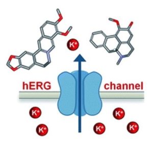 Ion Channel Reader, Emerging Applications, Ion channels as cancer biomarkers