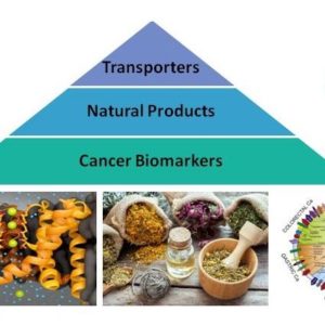 Assay Services, Ion Channel Assays, Transporters, natrual Products, Cancer Biomarkers