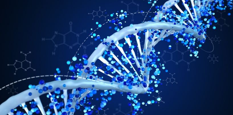 What is Peptide Synthesis: A Brief Introduction