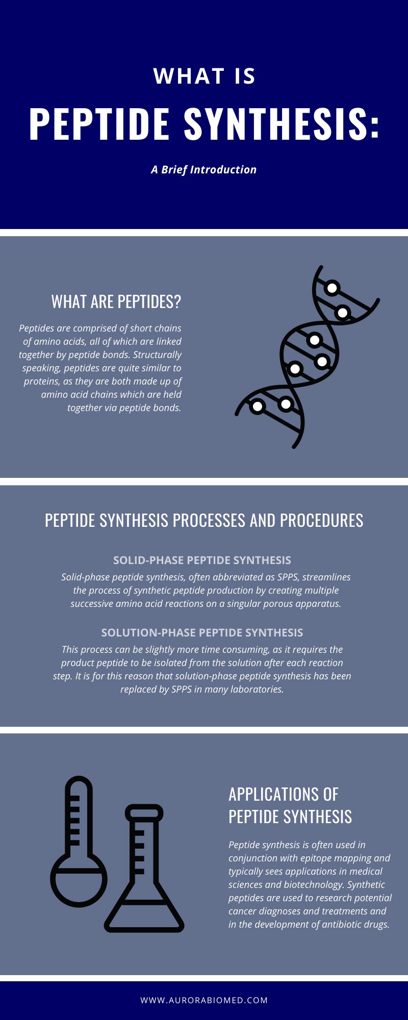 What is Peptide Synthesis: A Brief Introduction infographic