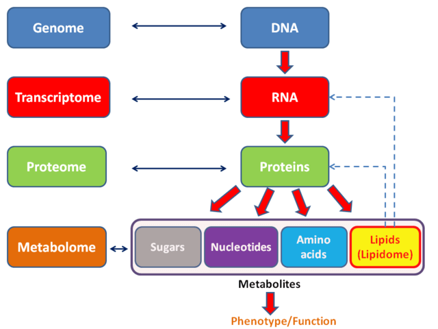 Genomics, Transcriptomics, Proteomics, Metabolomics