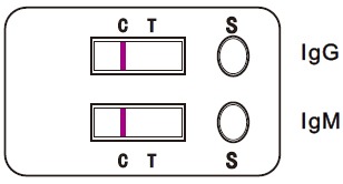 negative covid test negative covid test