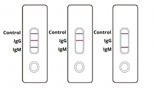 Covid 19 Igm Igg Rapid Test Kit Coronavirus Covid 19 Antibody Test