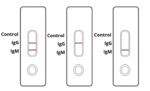 COVID-19 Antibody Rapid Test Results