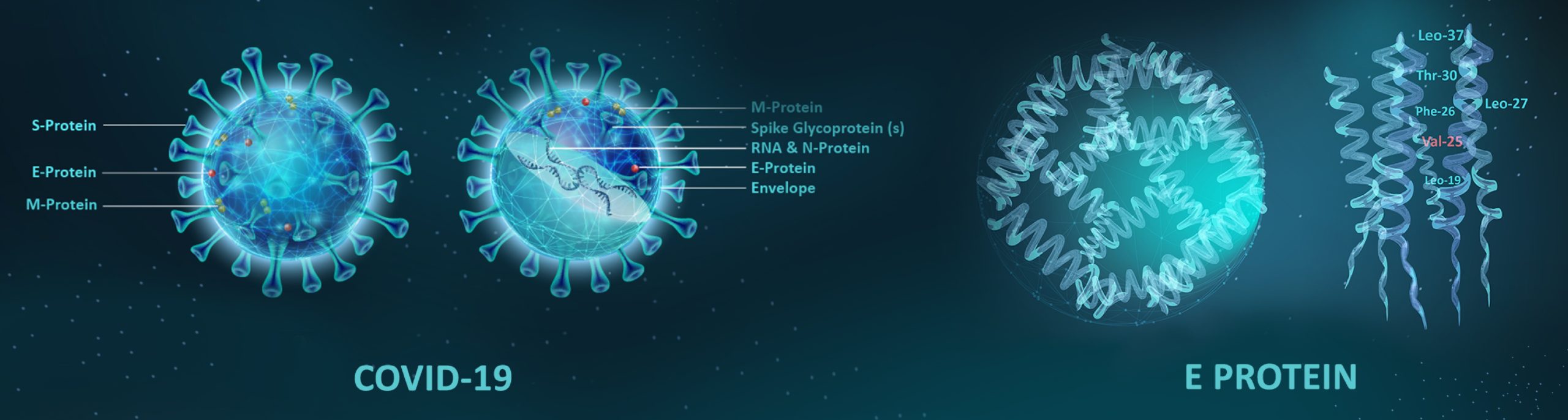 Ion Channel Reader, ICR8100 and ICR12000, Laboratory Automation Services, COVID-19 Drug & Vaccine Development