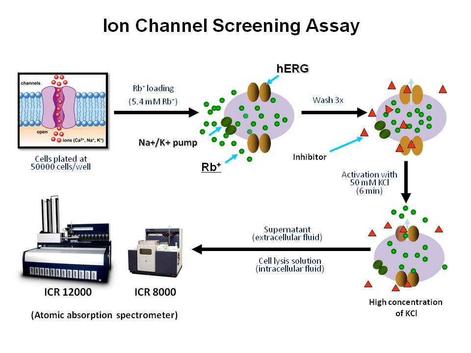 Ion Channel Reader, Ion Channel Screening Assays, High Throughput Screening Flux Assays. ICR8000 and ICR12000.