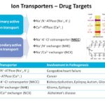 Ion Channel Reader, Emerging Applications - Transporters, Ion Transporters- Drug Targets. ICR8100 and ICR12000