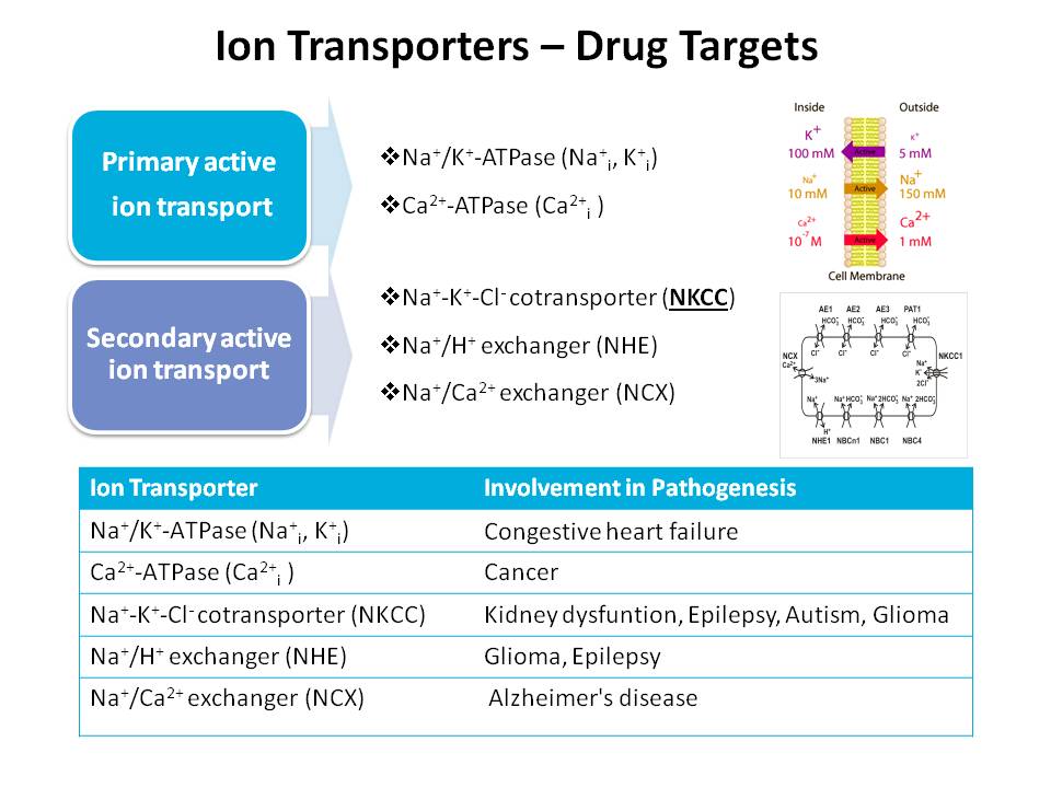 Ion Channel Reader, Emerging Applications - Transporters, Ion Transporters- Drug Targets. ICR8100 and ICR12000