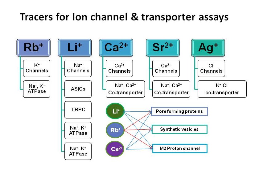 Ion Channel Reader, High Throughput Screening Flux Assays, Tracer for Ion channel & transporter assays. ICR8100 and ICR12000