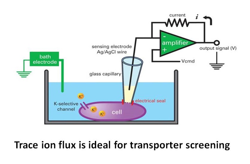 Emerging Apllication, Transpoter, Screening, ION Channel Reader