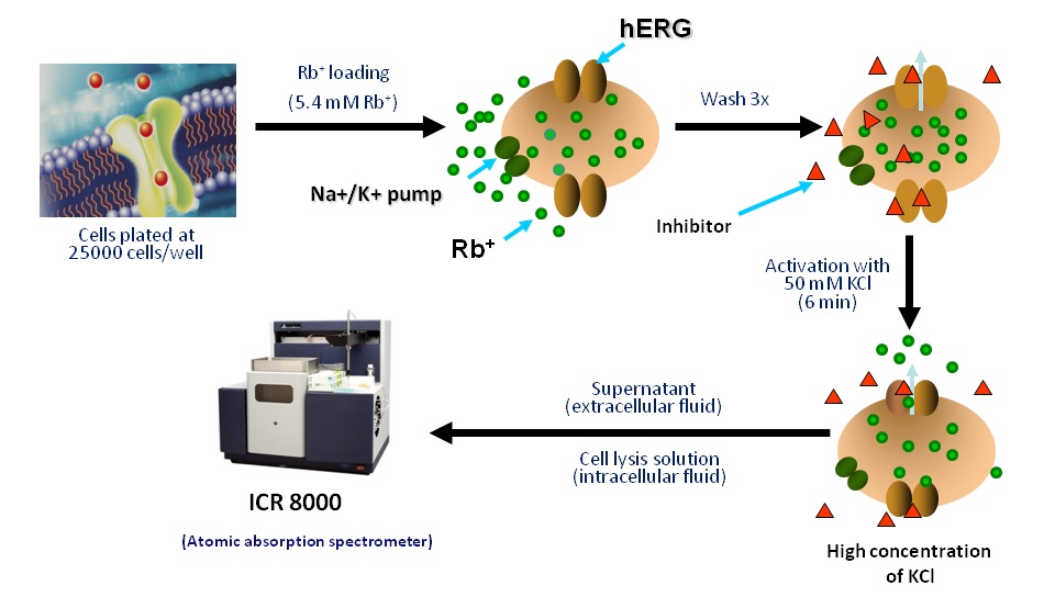Ion Channel Reader, Principles of Ion Channel Screening, ICR8000 and ICR12000