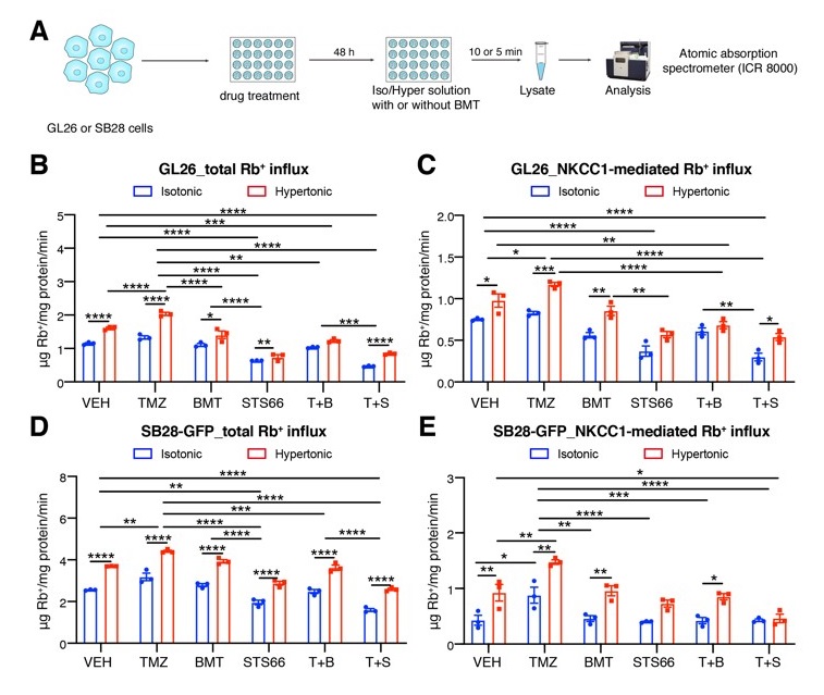 Ion Channel Reader, Emerging Applications - Transporters, ICR8100 and ICR12000