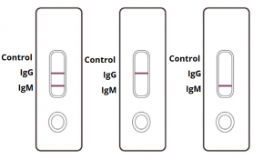 COVID-19 Antibody Rapid Test Results