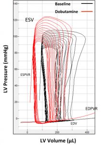 Ion Channel Reader, Ion Channel Screening Assays, ICR8100 and ICR12000. Ion Channel Screening Assays.