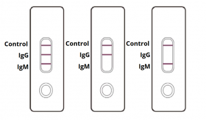 COVID-19 Antibody Rapid Test Results