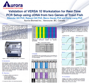 Real-time PCR setup using cDNA from two Genes of Trout Fish