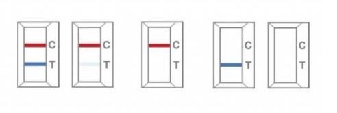 COVID-19 Antigen Rapid Test Results