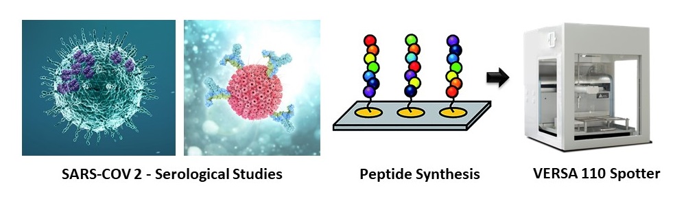 Peptide Microarray – COVID-19. Automation liquid handling. VERSA 110 Spotter, SARS-COV2-Serological Studies, Peptide Synthesis.