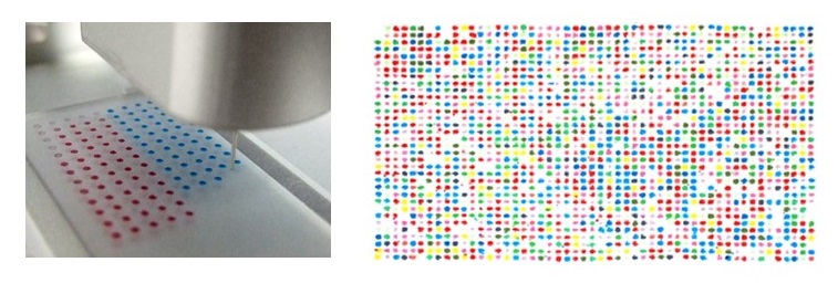 Peptide Microarray – COVID-19. Automation liquid handling.