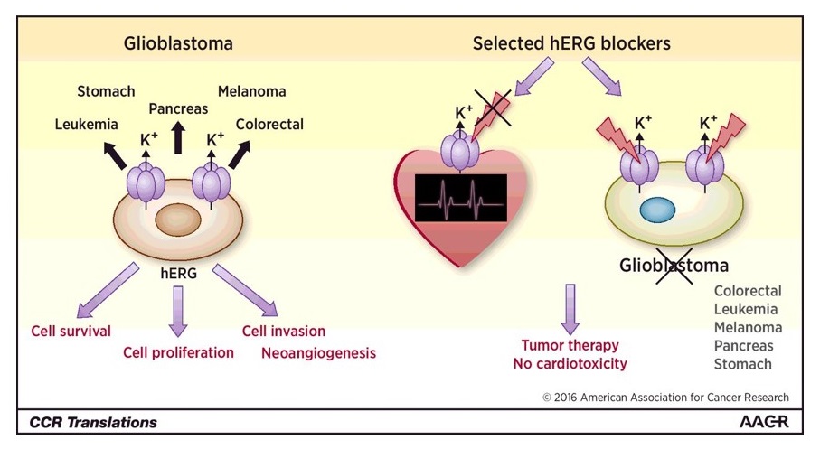 Ion Channel Reader, Emerging Applications - Cancer Biomarkers, ICR8100 and ICR12000,