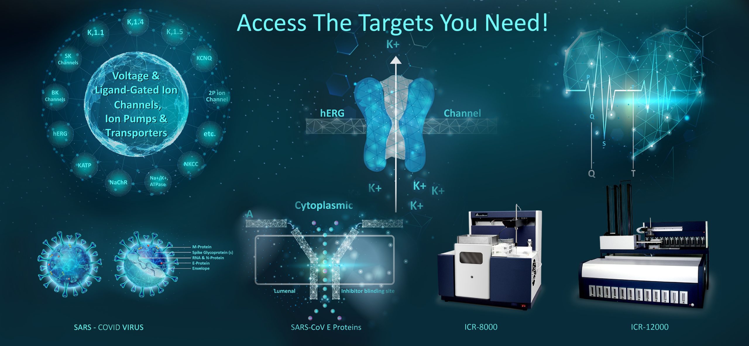 Ion Channel Reader, Ion Channel Transporter, ICR8100 and ICR12000, Access the target you need.