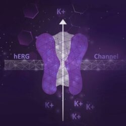 Ion Channel Reader,ICR8100 and ICR12000, Assay Services, hERG, High-throughput ion channel and transporter screening platform for drug discovery, safety, and development.