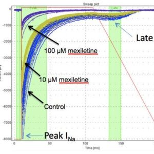 Ion Channel Selectivity Profiling Assays, The effects of mexiletine on peak and late INav1.5 measured by Qpatch