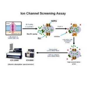 Ion Channel Reader,ICR8100 and ICR12000, Assay Services ,High Throughput Screening Flux Assays (ICR to IC50)