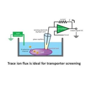 Ion Channel Reader, Emerging Applications-Transporters, Trace ion flux is ideal for transporter screening