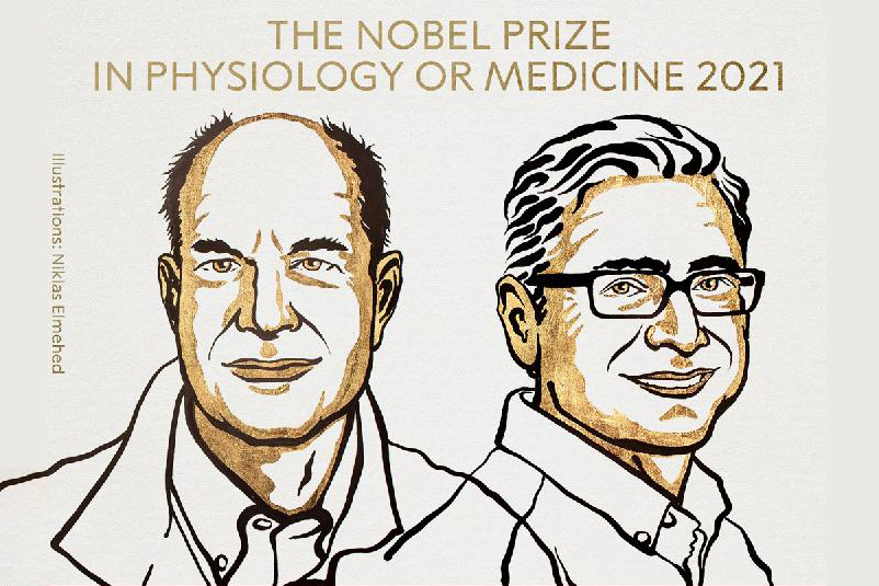 The Nobel prize in Physiology or medicine 2021. How Aurora's Ion Channel Reader helps with TRPV1 research. The ICR 12000 has been used in Drug Discovery. Image made by Niklas Elmehed
