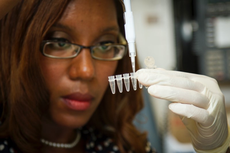 Lab Based RT-PCR COVID-19 Testing. A scientist is conducting PCR.