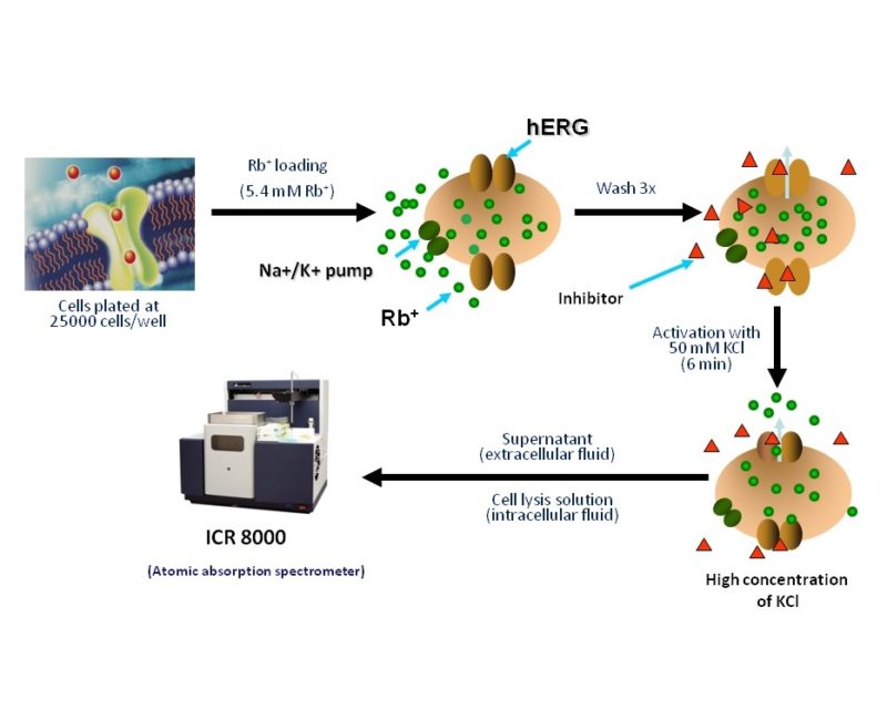 ICR figure