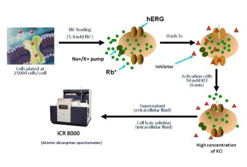 ICR figure