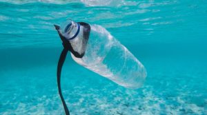 A water bottle in the ocean. Plastic in the ocean can sometimes contribute to Extractable and Leachable compounds in natural waterways, causing a health hazard.