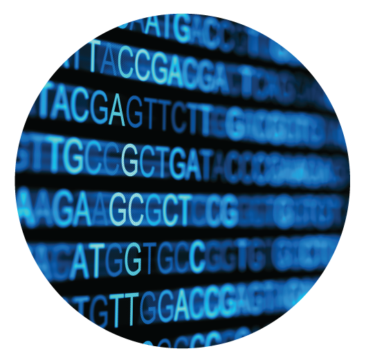 Aurora Forensic Banner NGS