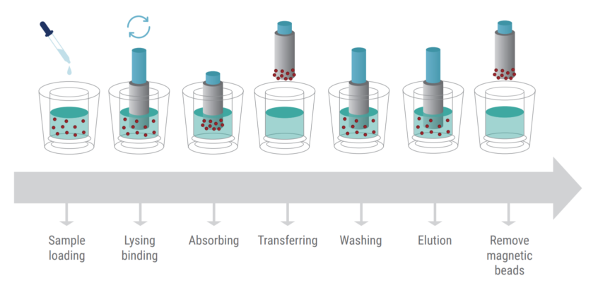 ADNap diagram