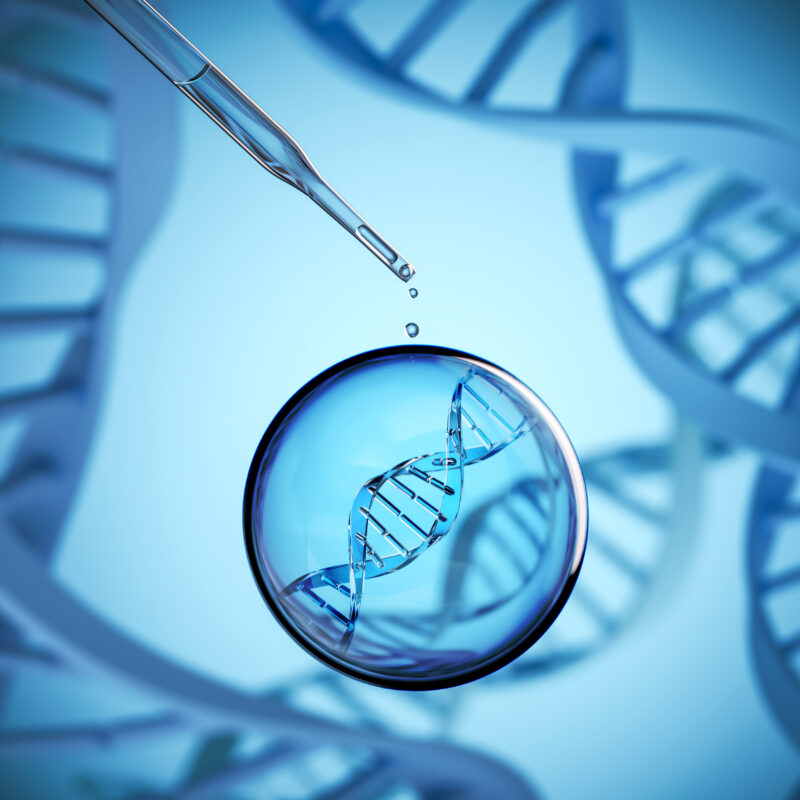 Forensic Application Solutions