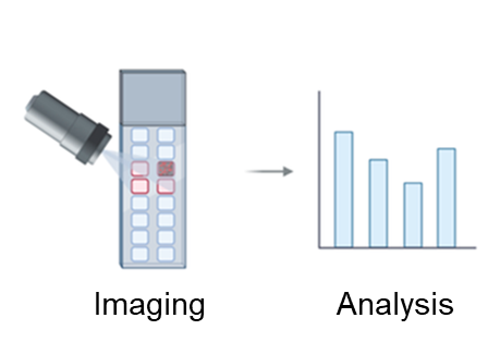 A Quick Guide to Protein Microarray - Aurora Biomed